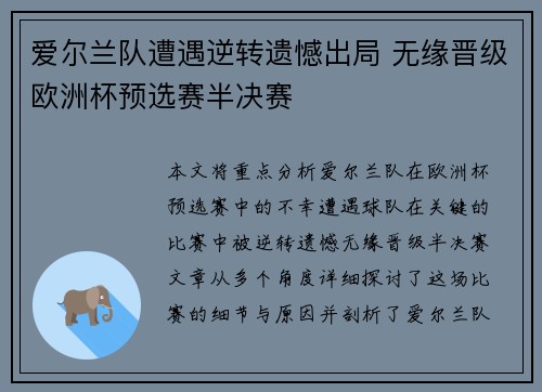 爱尔兰队遭遇逆转遗憾出局 无缘晋级欧洲杯预选赛半决赛